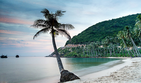 Danh sách 10 nhà nghỉ tốt nhất ở đảo Nam Du